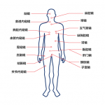 一次性醫用攝像機