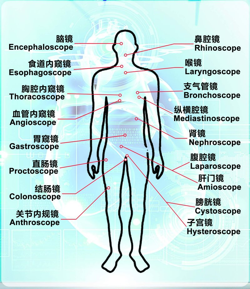 內窺鏡的類型